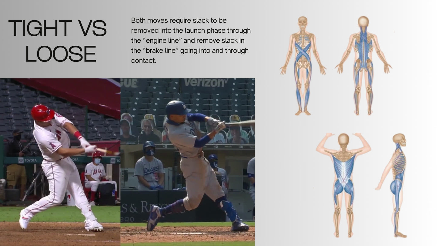 Chapter 14: Application Part 2 (Making It Dynamic)