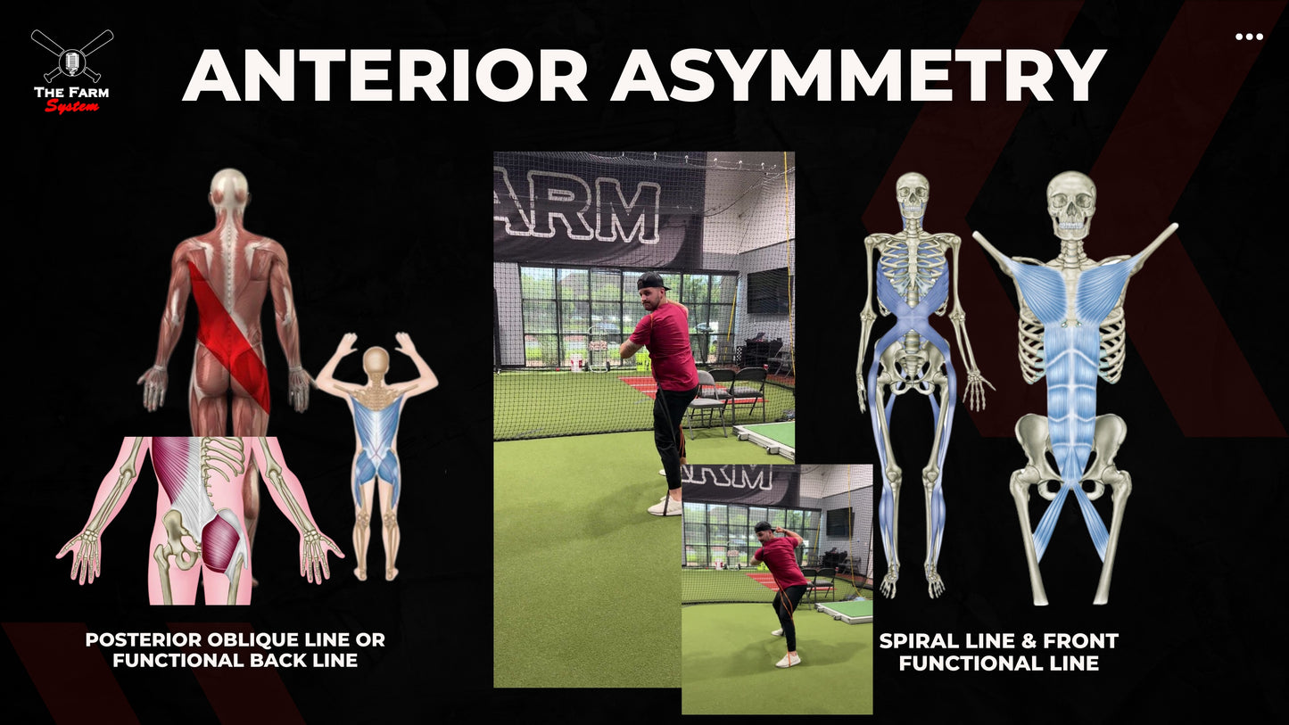 Section One: The Science of Hitting