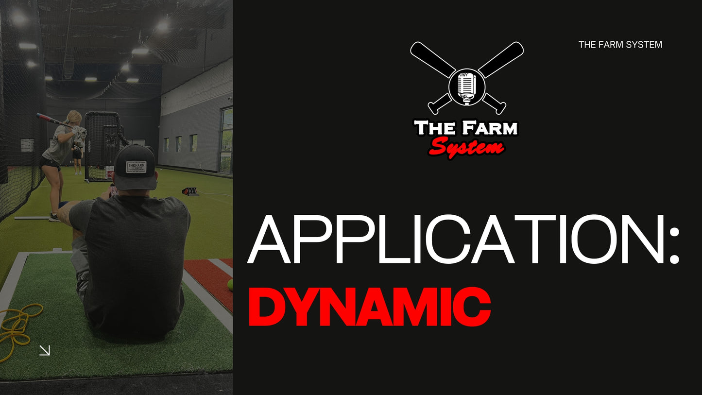 Chapter 14: Application Part 2 (Making It Dynamic)