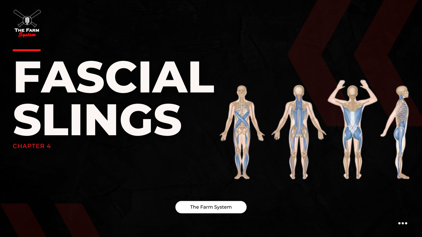 Chapter 4: Facial Slings