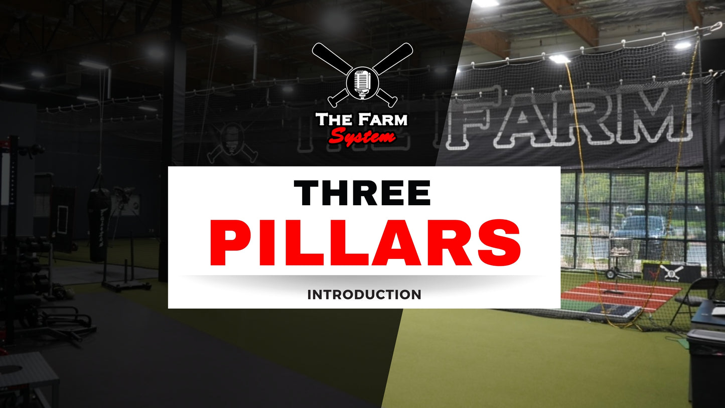 Chapter 9: Introduction To Our 3 Pillars