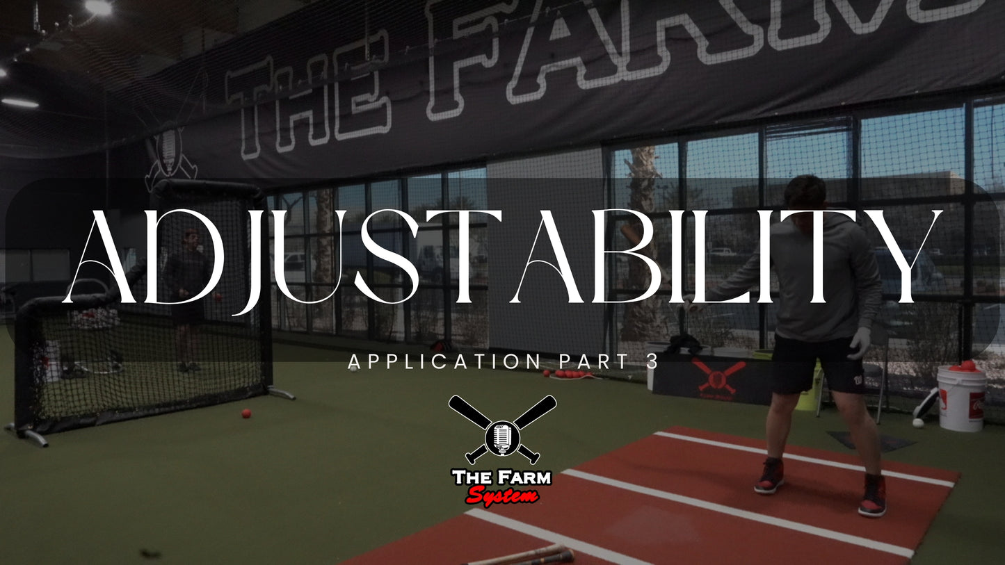 Section Three: Application