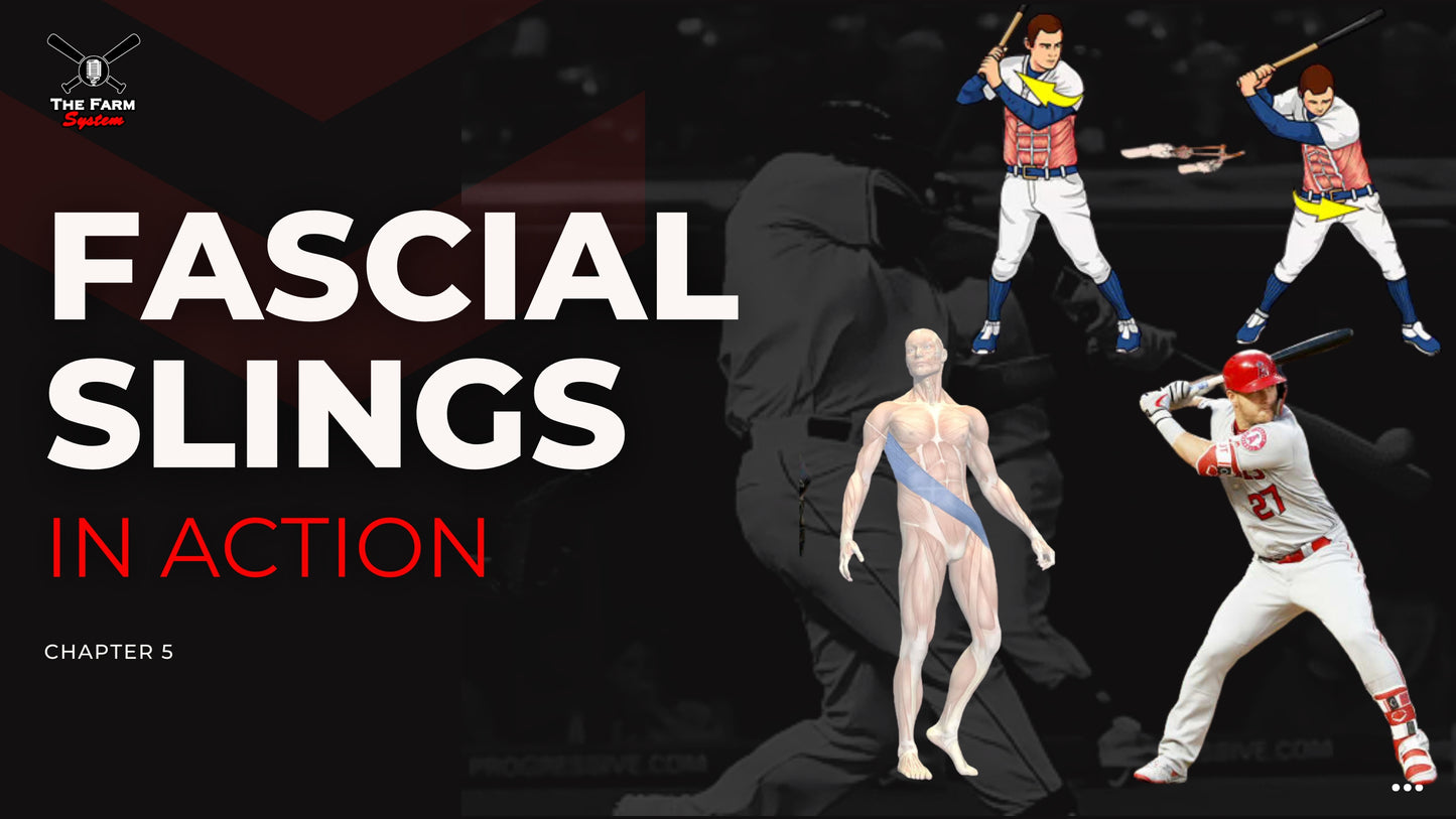 Chapter 5: Fascial Lines In Action