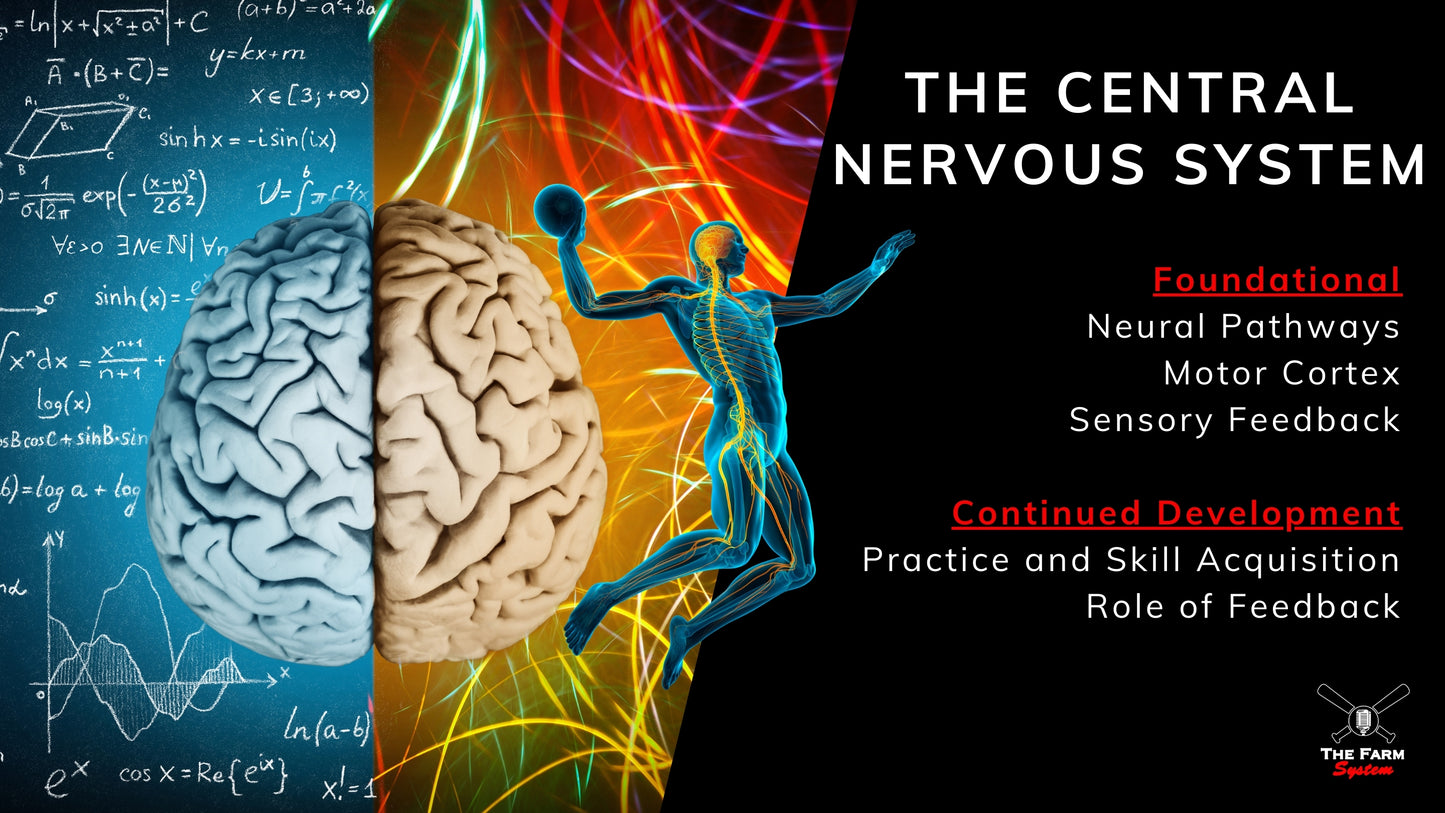 Section One: The Science of Hitting