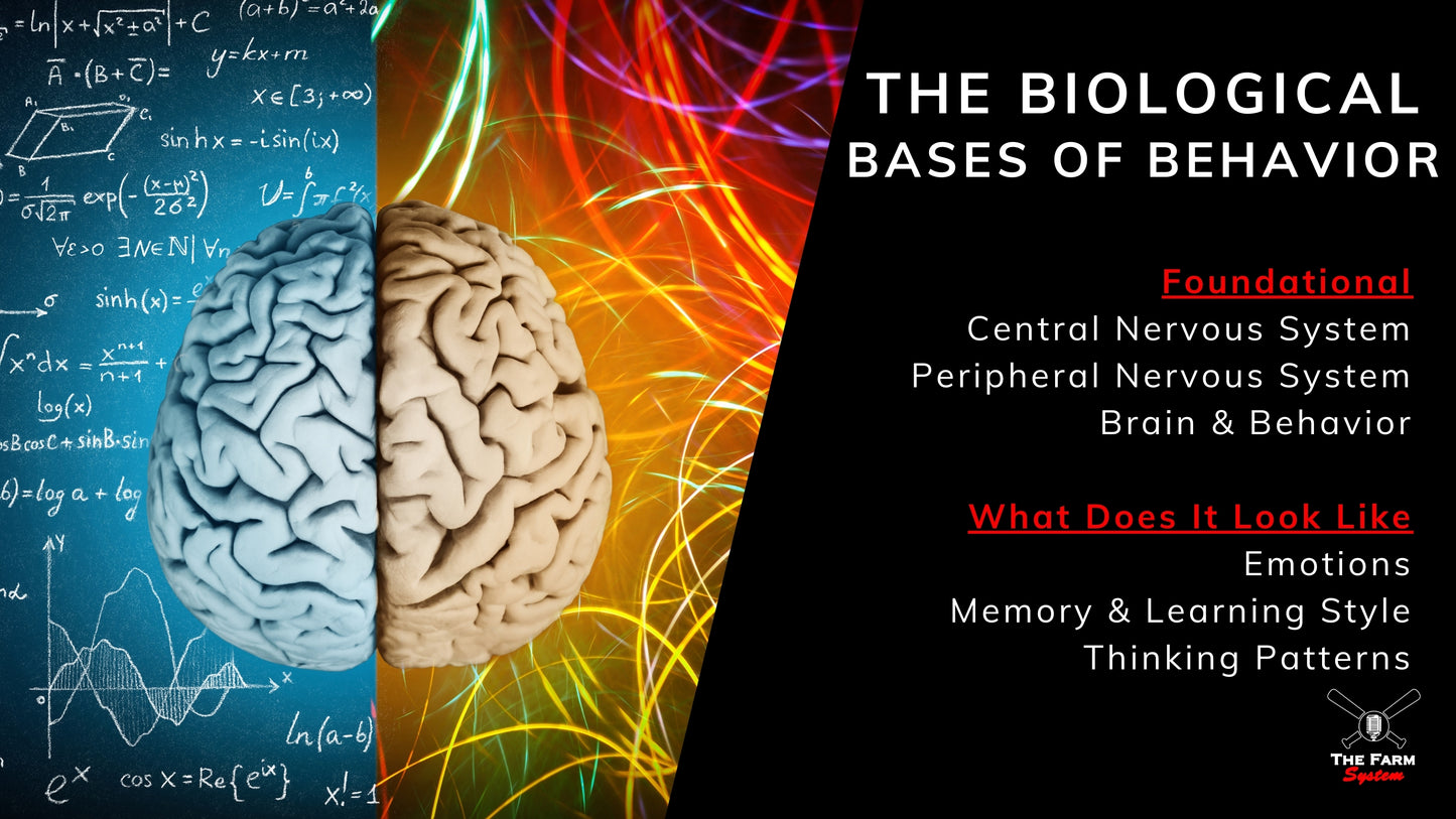 The Farm Winter Retreat