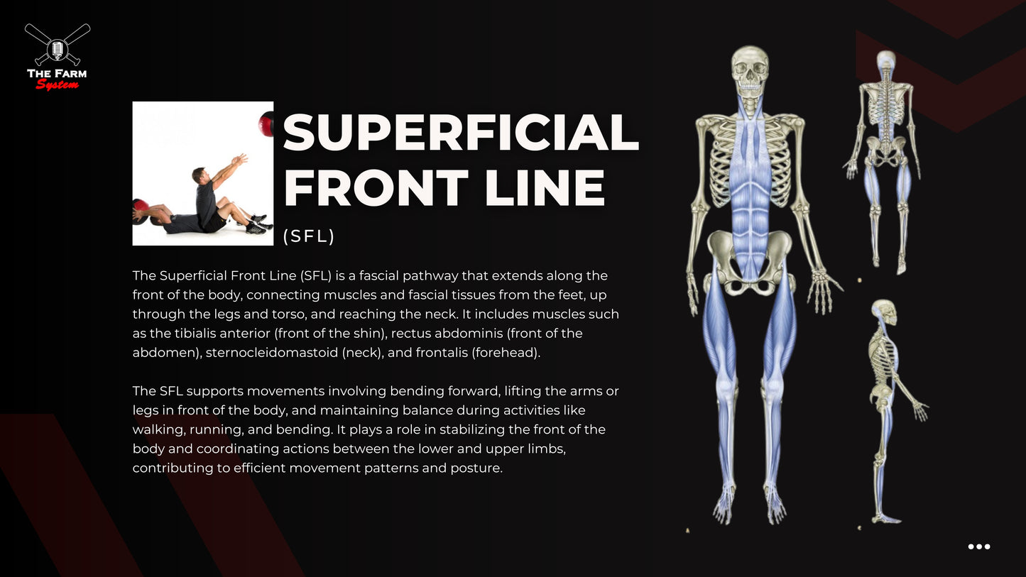 Chapter 4: Facial Slings