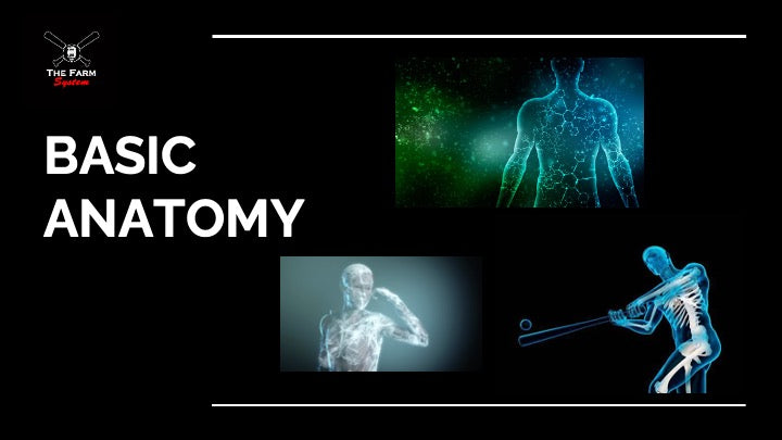 Section One: The Science of Hitting
