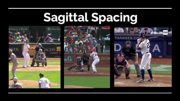 Chapter 1: Planes of Motion